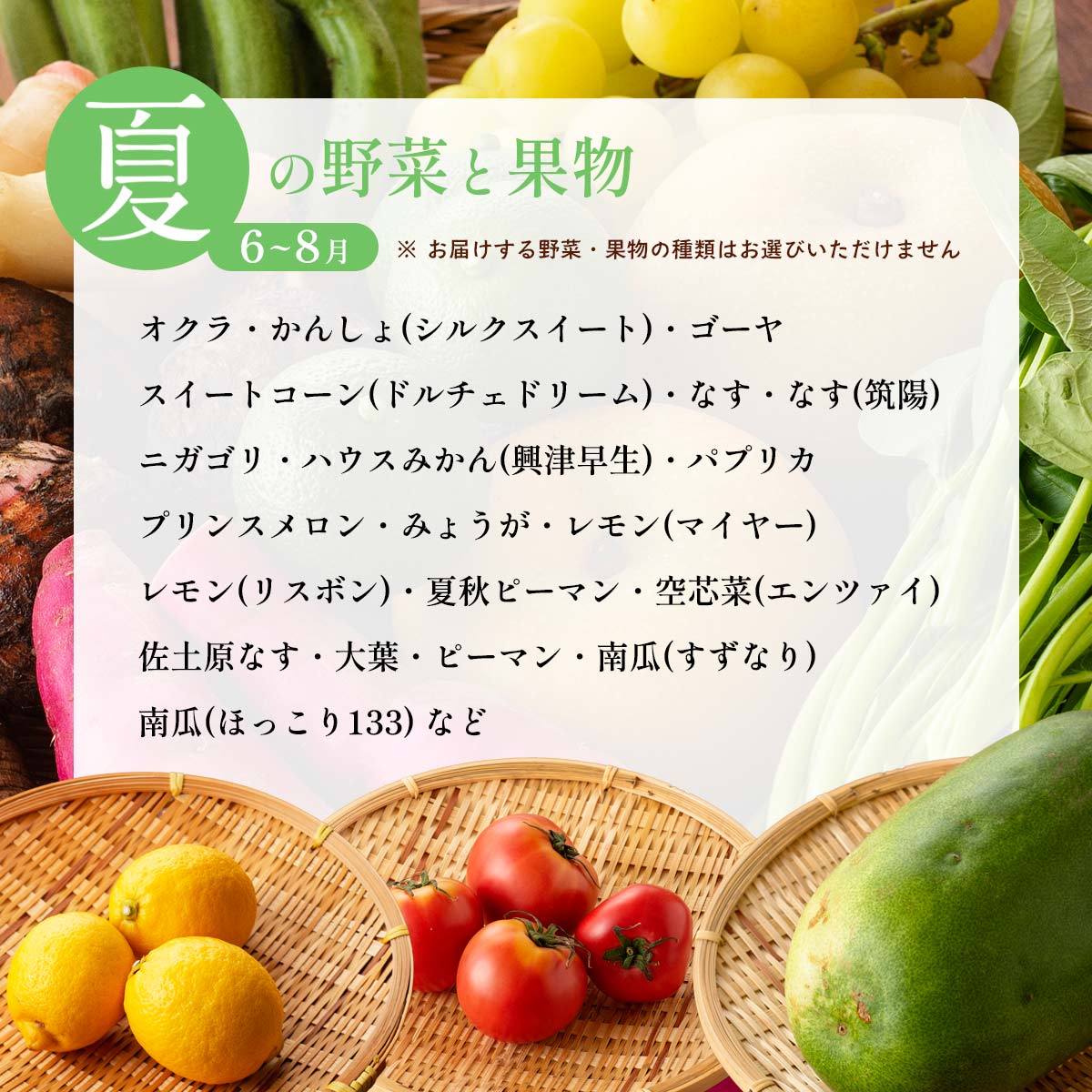 おすず村 厳選詰め合わせセット（小）