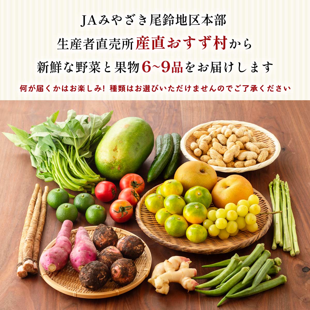 おすず村 厳選詰め合わせセット（小）