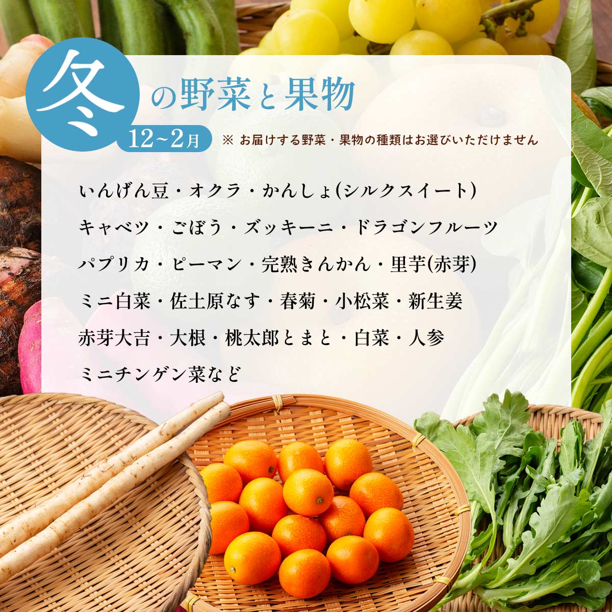 おすず村 厳選詰め合わせセット（小）