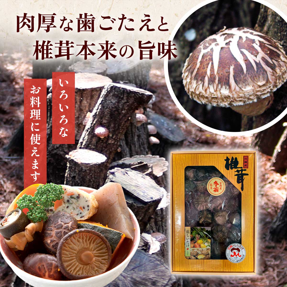 椎茸ギフト どんこ椎茸(90g)