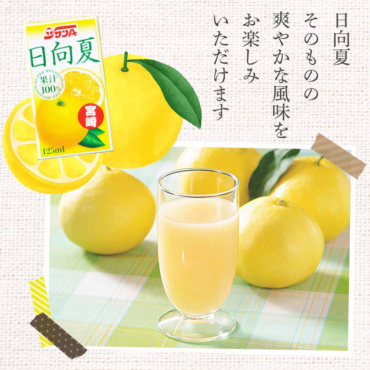 サンA 日向夏ジュース100％
