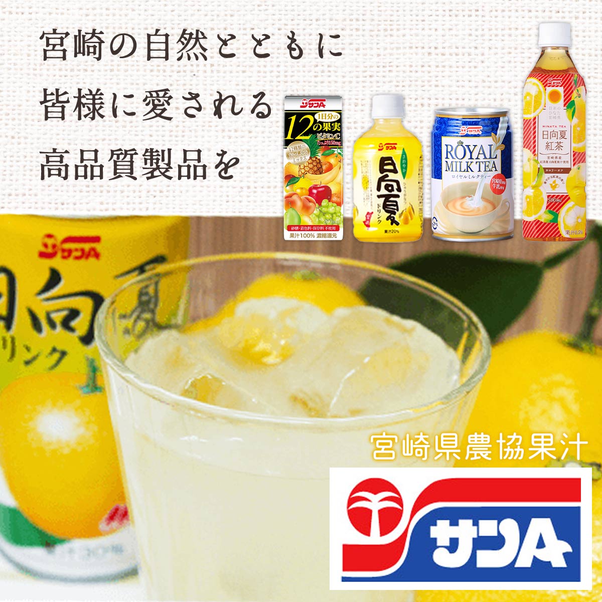 サンA 日向夏ドリンク 果汁20％