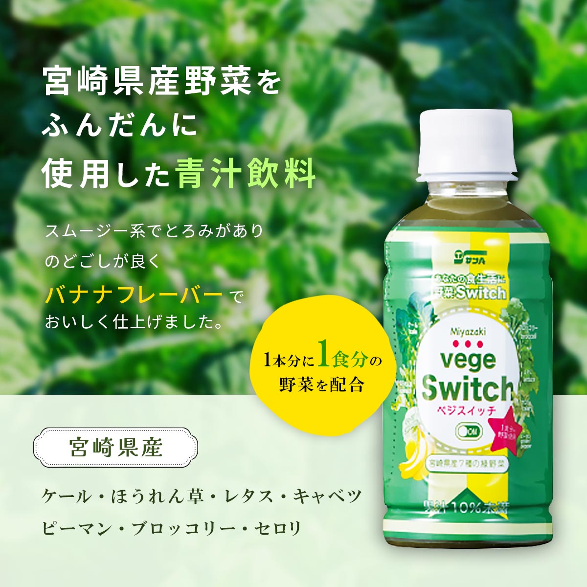 サンA 宮崎べジスイッチ 200ml×24本