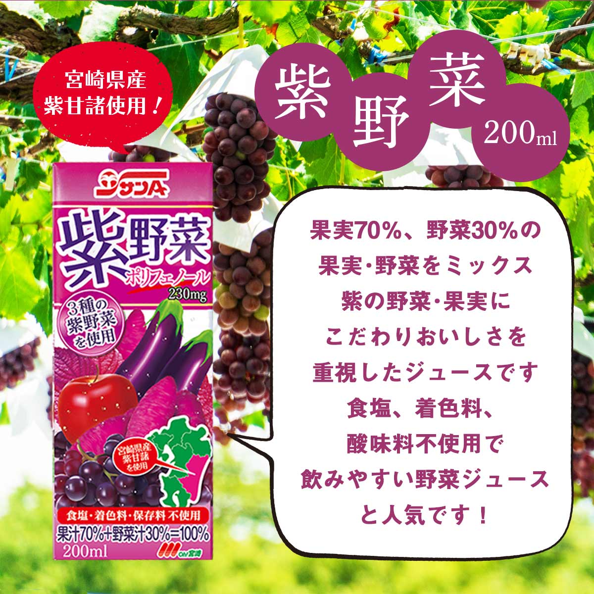 サンA 紫野菜