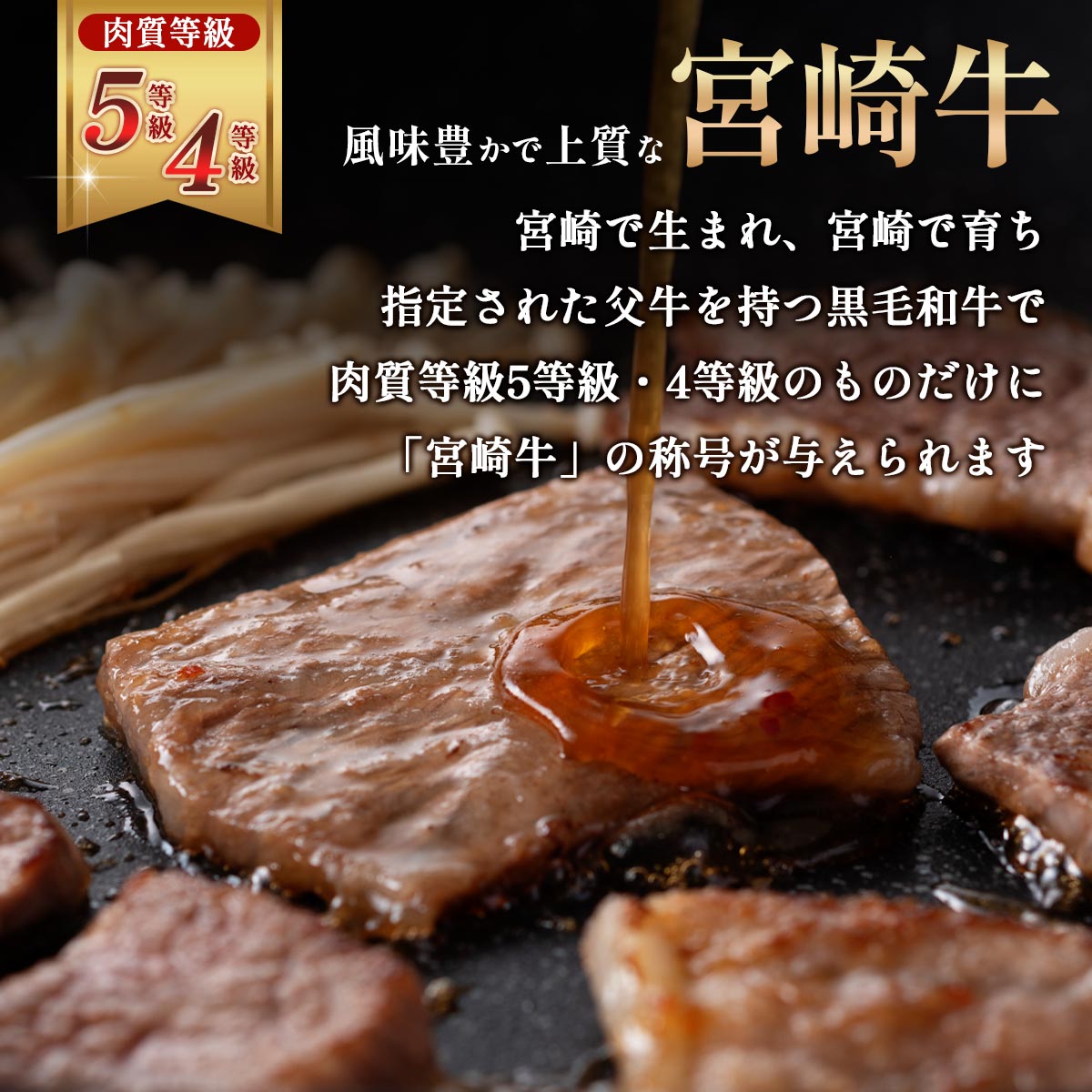 宮崎牛 肩ロース焼肉・モモ焼きしゃぶセット 計1.0kg