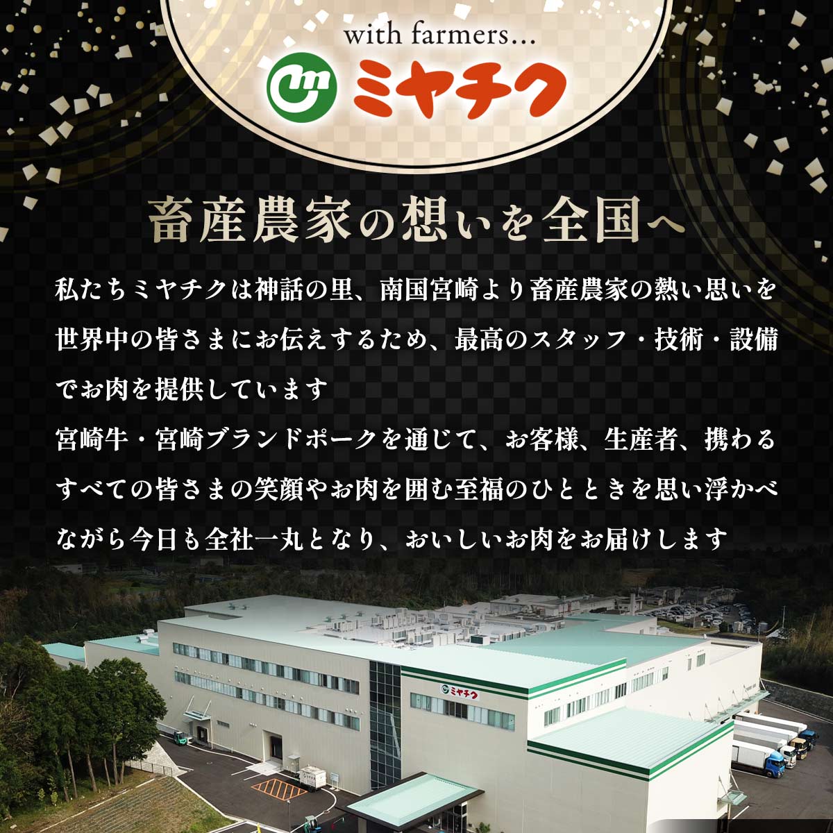 宮崎牛ぺっぱーハンバーグセット