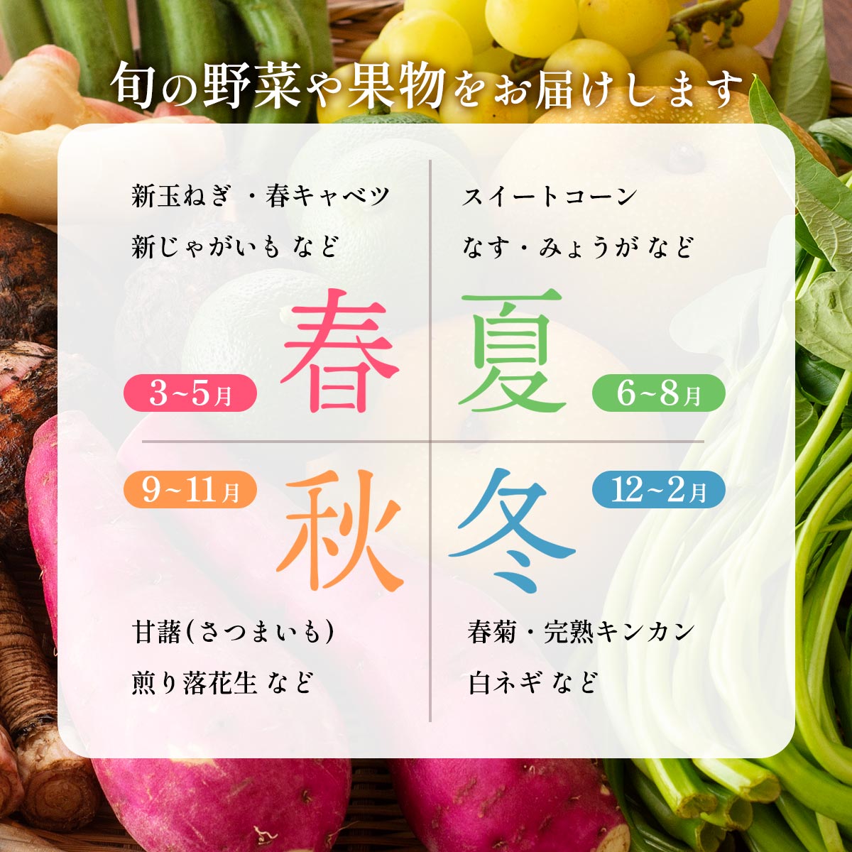 おすず村 厳選詰め合わせセット（小）
