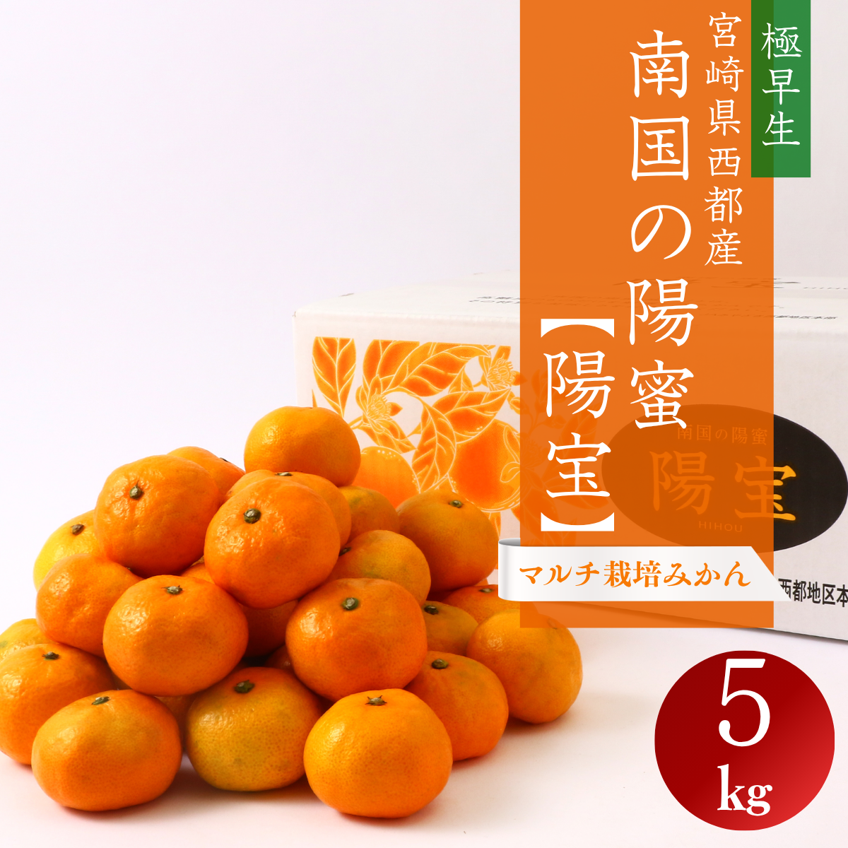 宮崎県西都産 　南国の陽蜜【陽宝】　5㎏