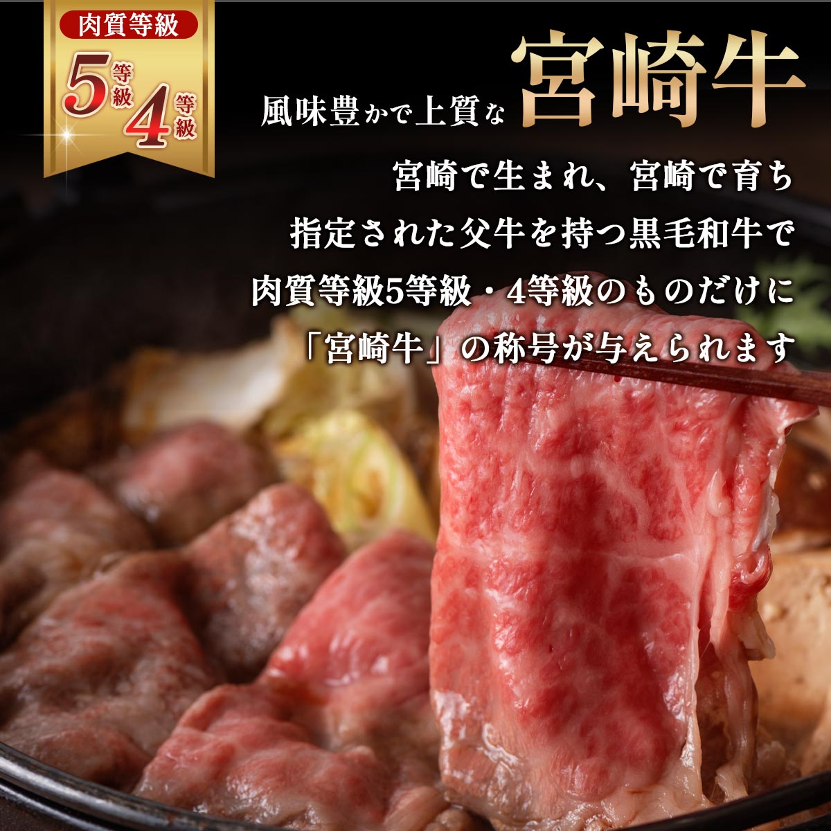 [冷凍の匠] 宮崎牛 赤身霜降りふたつ盛り食べ比べ焼きしゃぶ