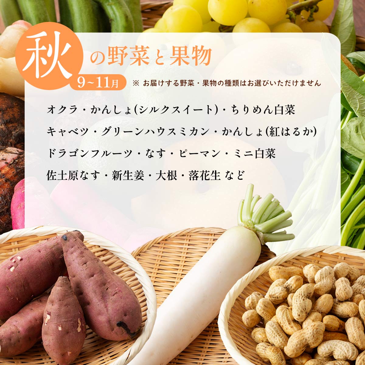 おすず村 厳選詰め合わせセット（小）