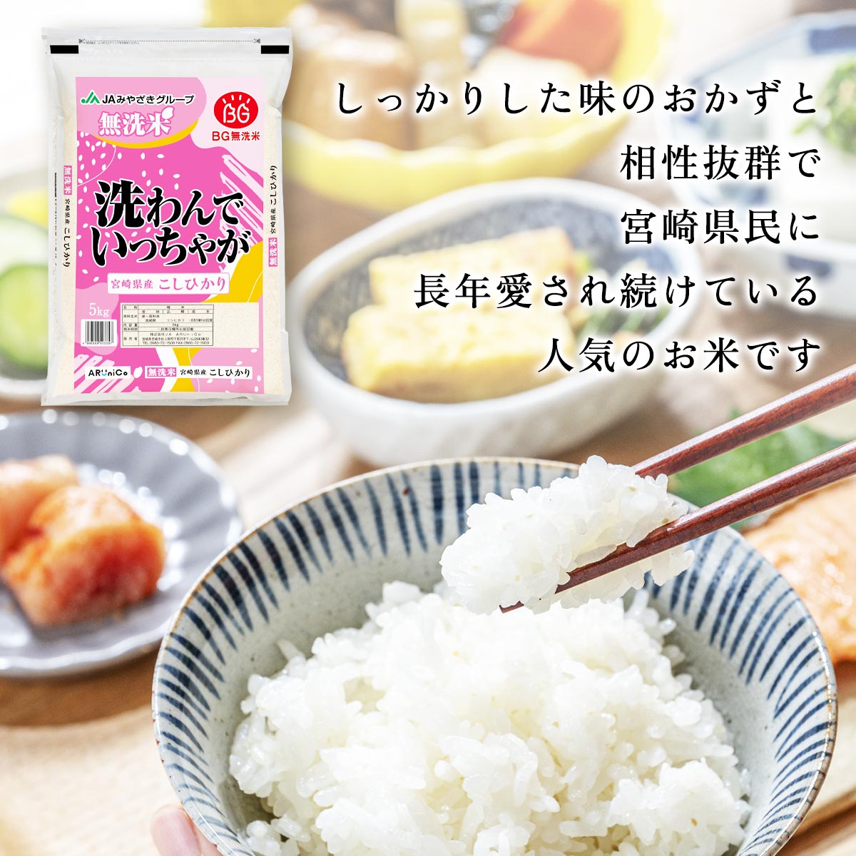 【令和7年産】宮崎県産 無洗米 こしひかり 5kg×2