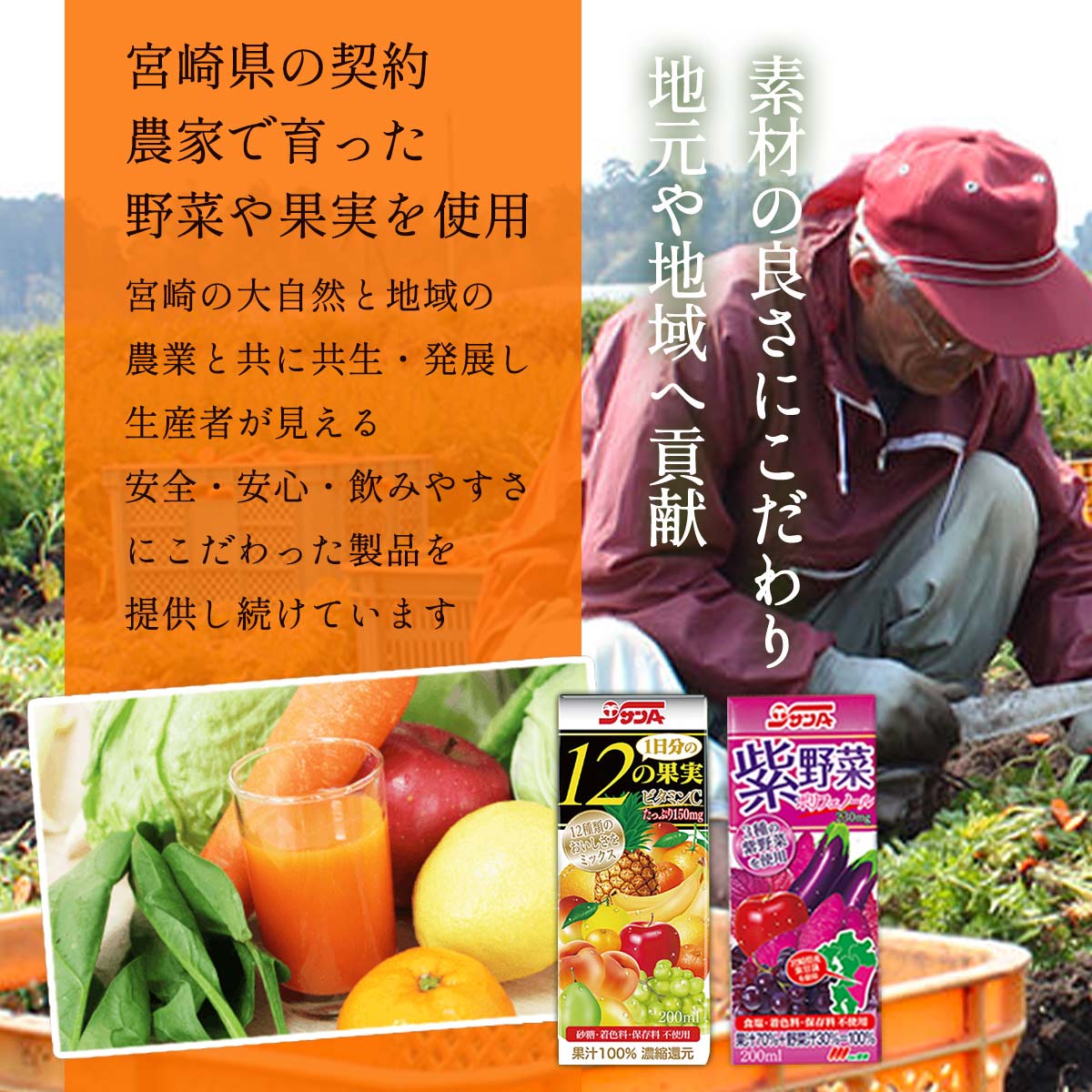 サンA 日向夏ゼリー