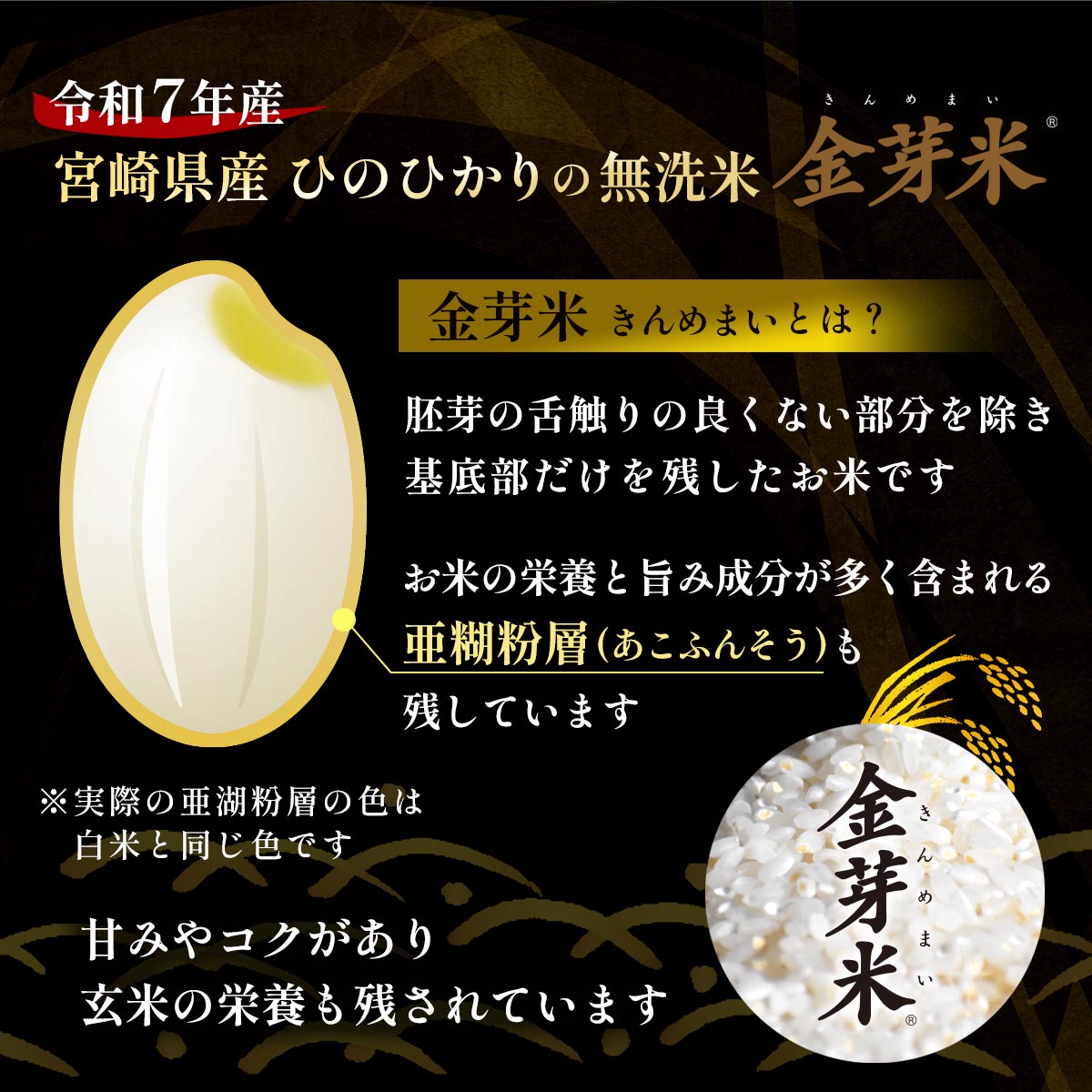 【専用計量カップ1個つき！】金芽米 宮崎県産 無洗米ひのひかり 5kg×1袋
