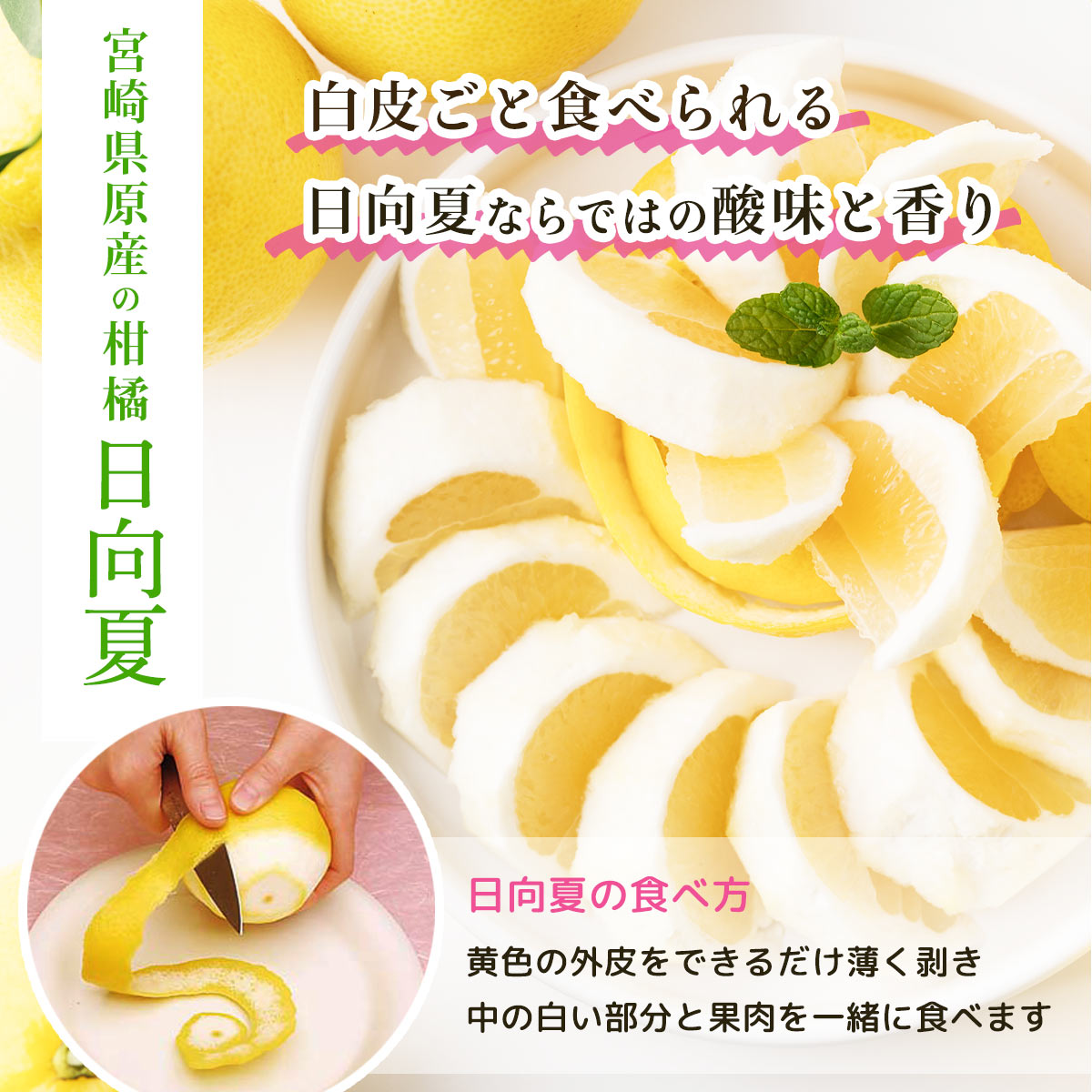 宮崎県産 日向夏 小説「薬屋のひとりごと」コラボパッケージ 2.5㎏×2（種少なめタイプ）