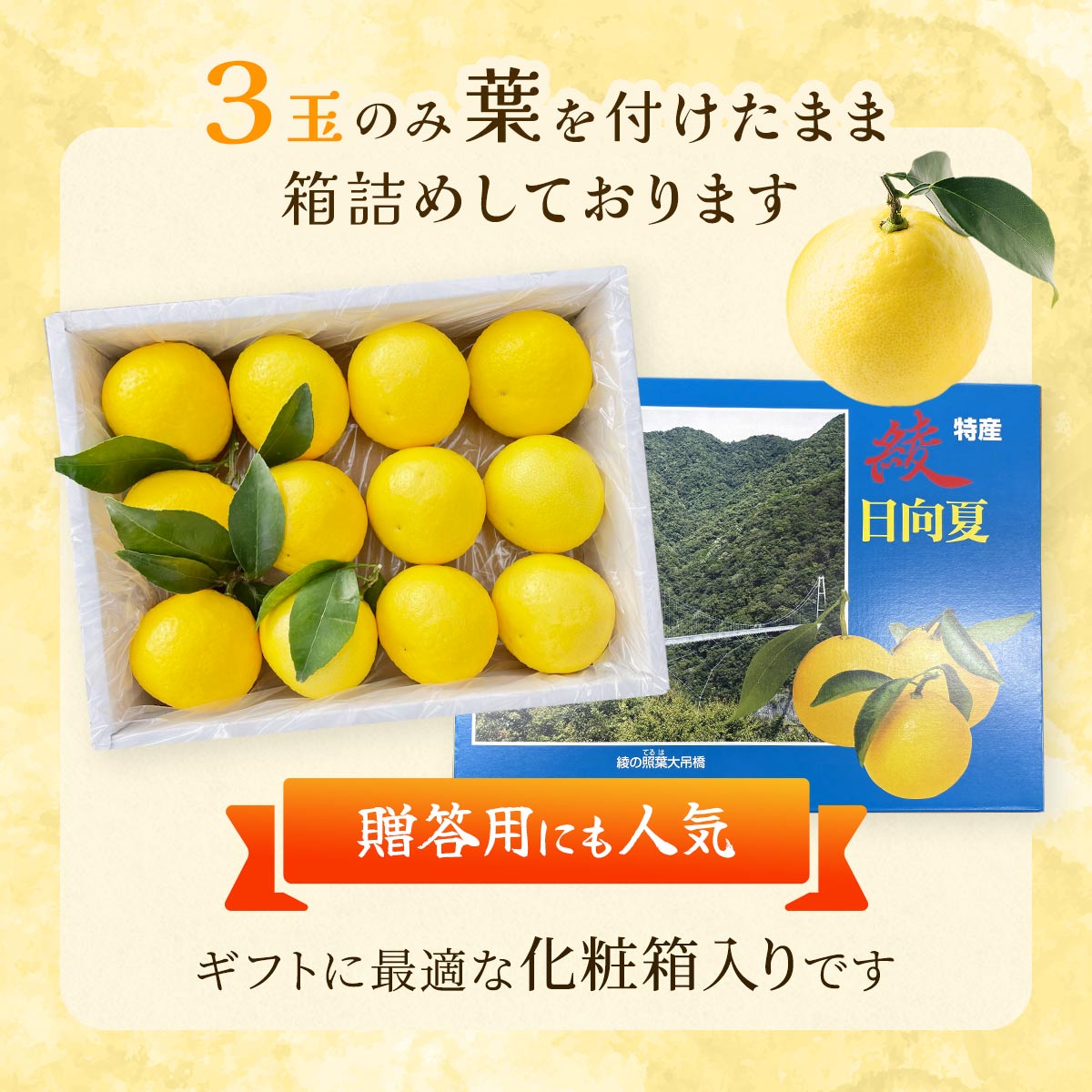 種なし日向夏　化粧箱