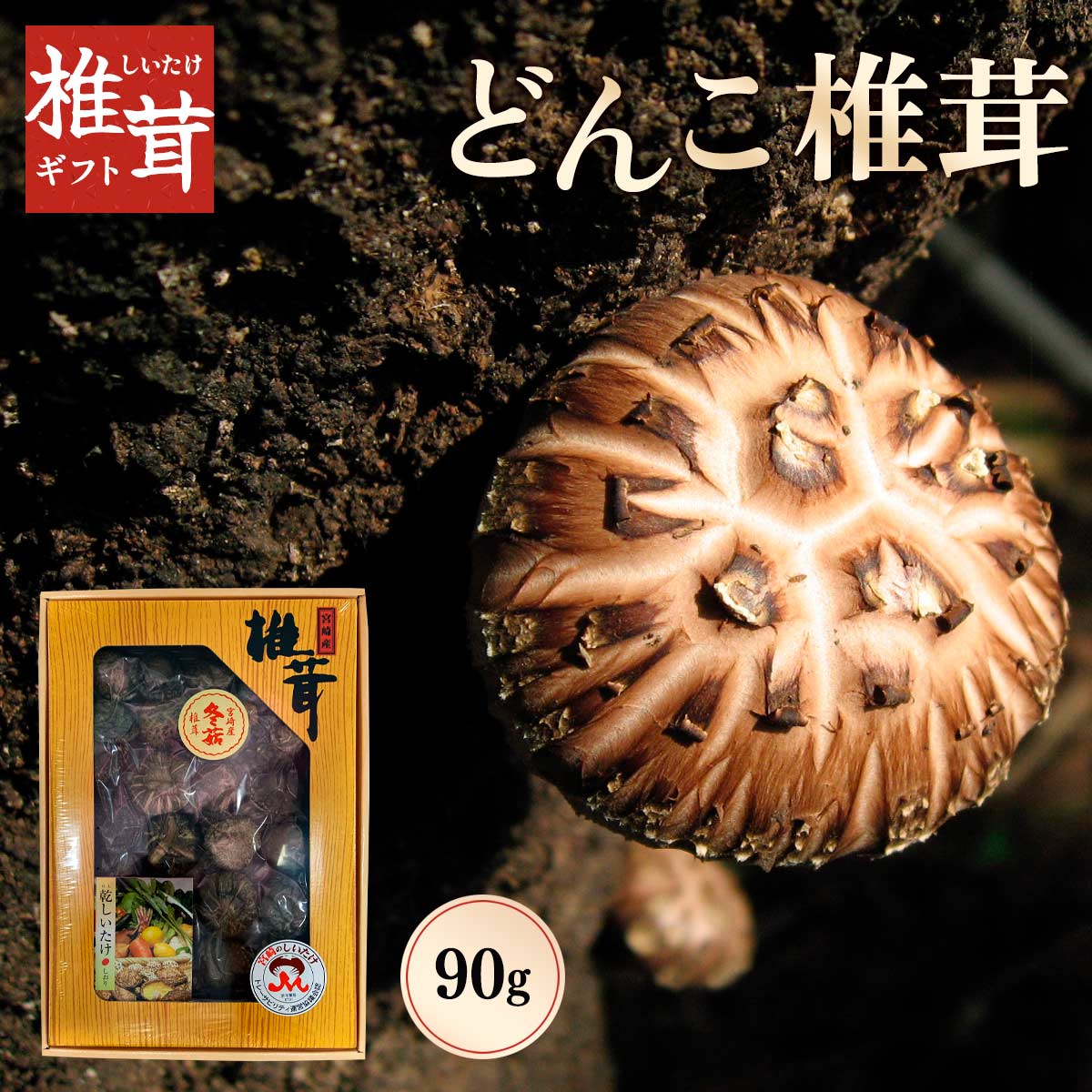 椎茸ギフト どんこ椎茸(90g)