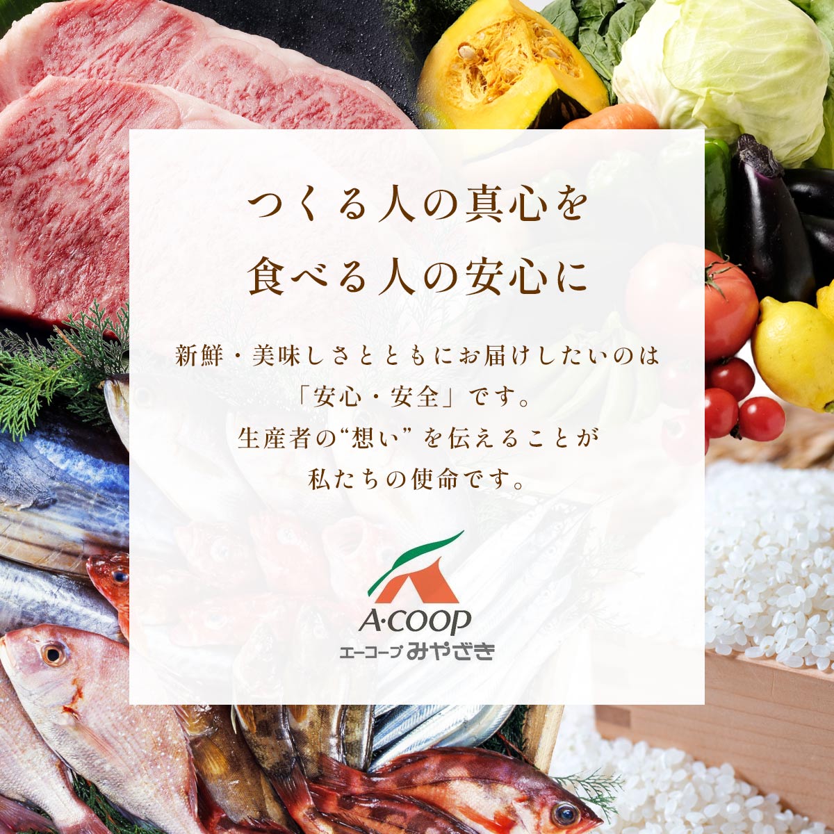 エーコープみやざき やみつき大束塩ホルモン