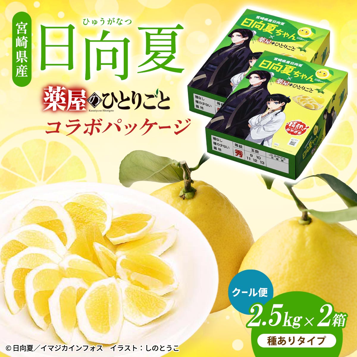 【クール便】宮崎県産 日向夏 小説「薬屋のひとりごと」コラボパッケージ 2.5kg×2 （種ありタイプ）