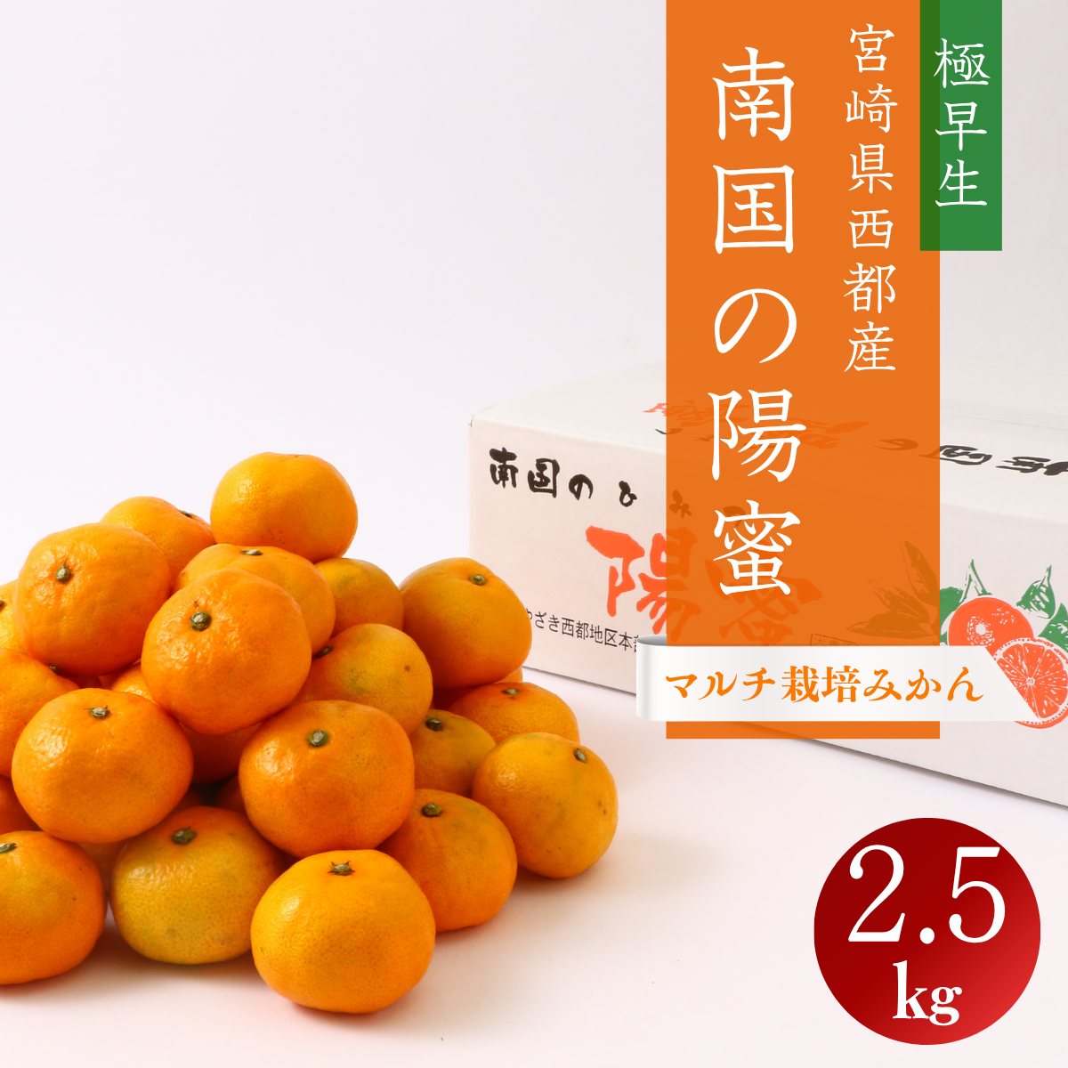 宮崎県西都産 　南国の陽蜜　2.5kg箱