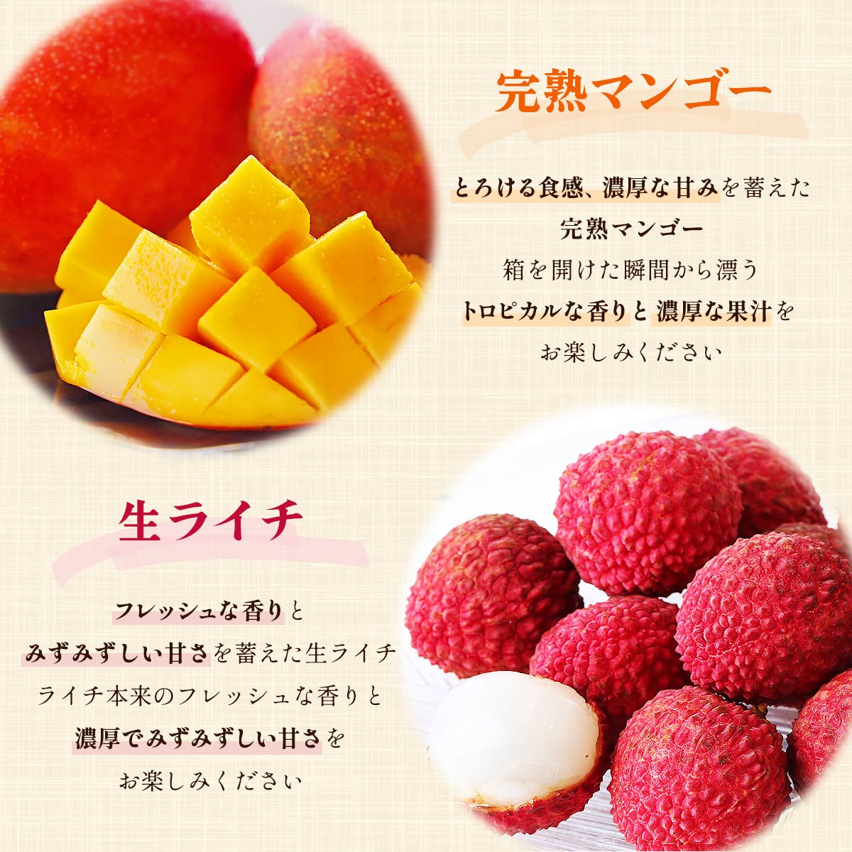 宮崎県綾町産 完熟マンゴー＆生ライチセット