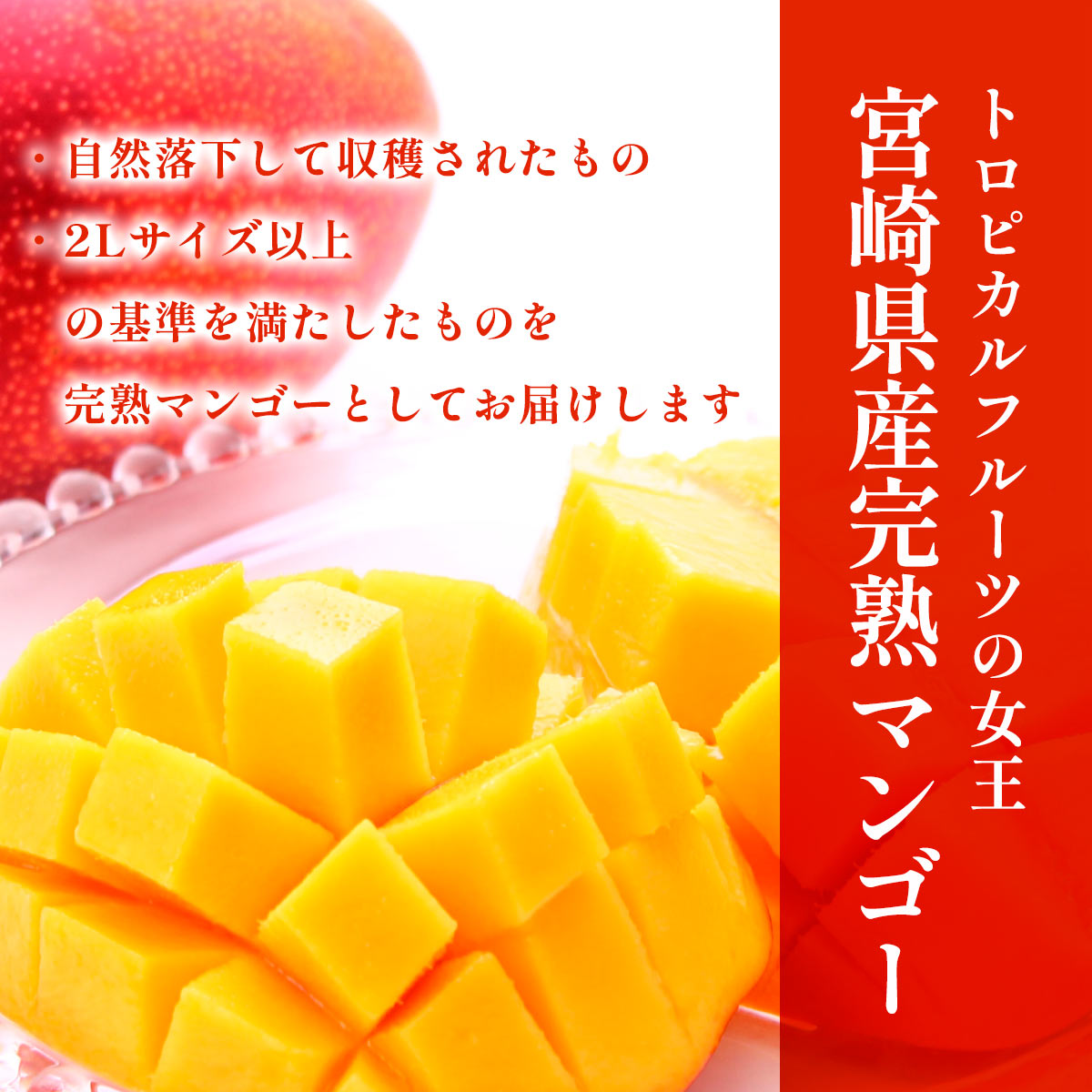 みやざき完熟マンゴー【700ｇ 化粧箱入】