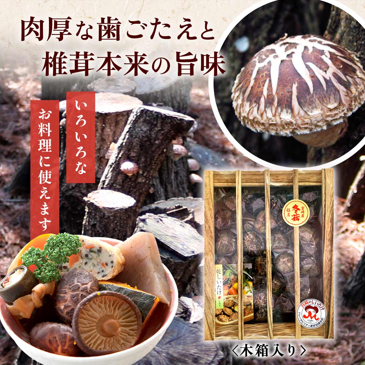椎茸ギフト どんこ椎茸(230g)