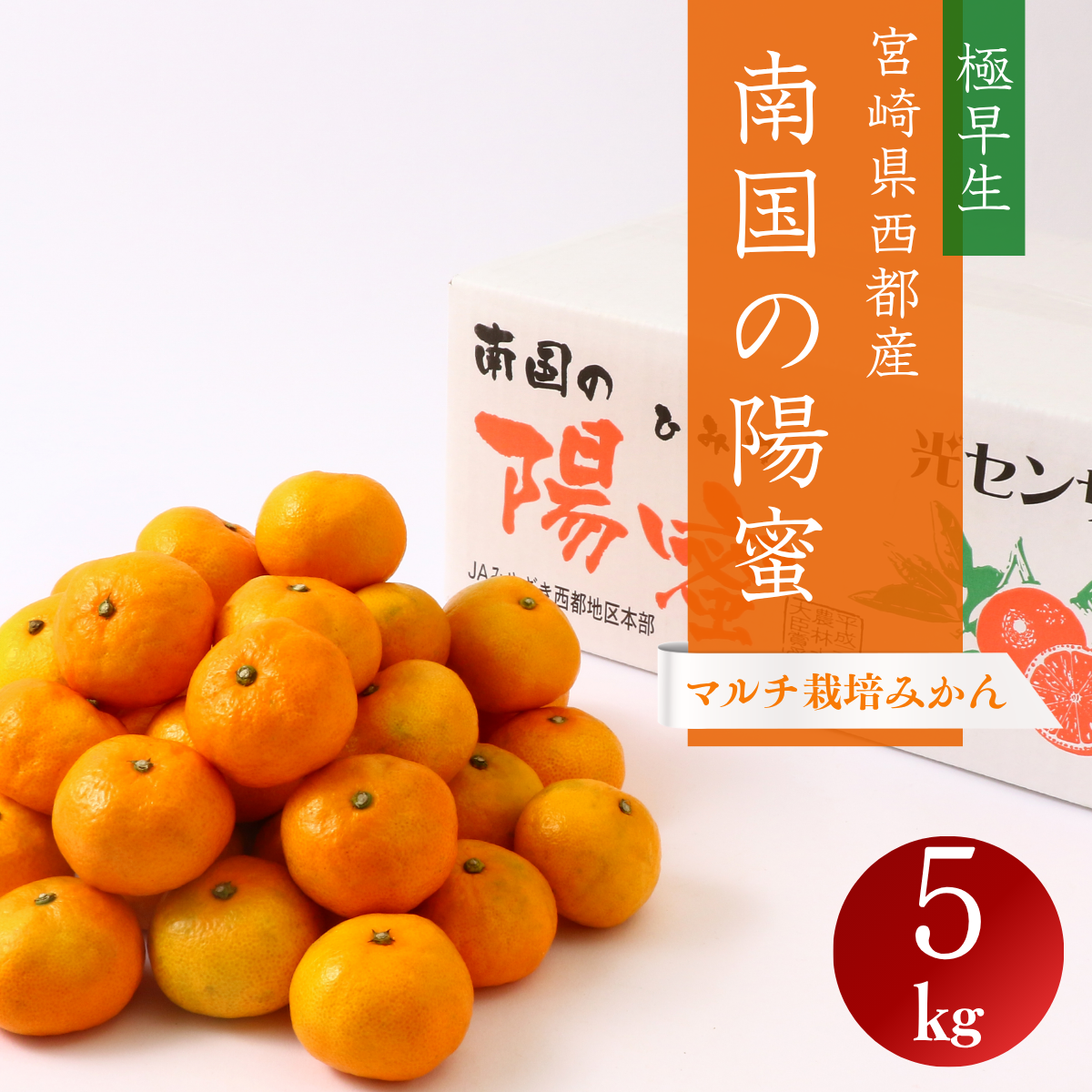 宮崎県西都市産 　南国の陽蜜　5㎏