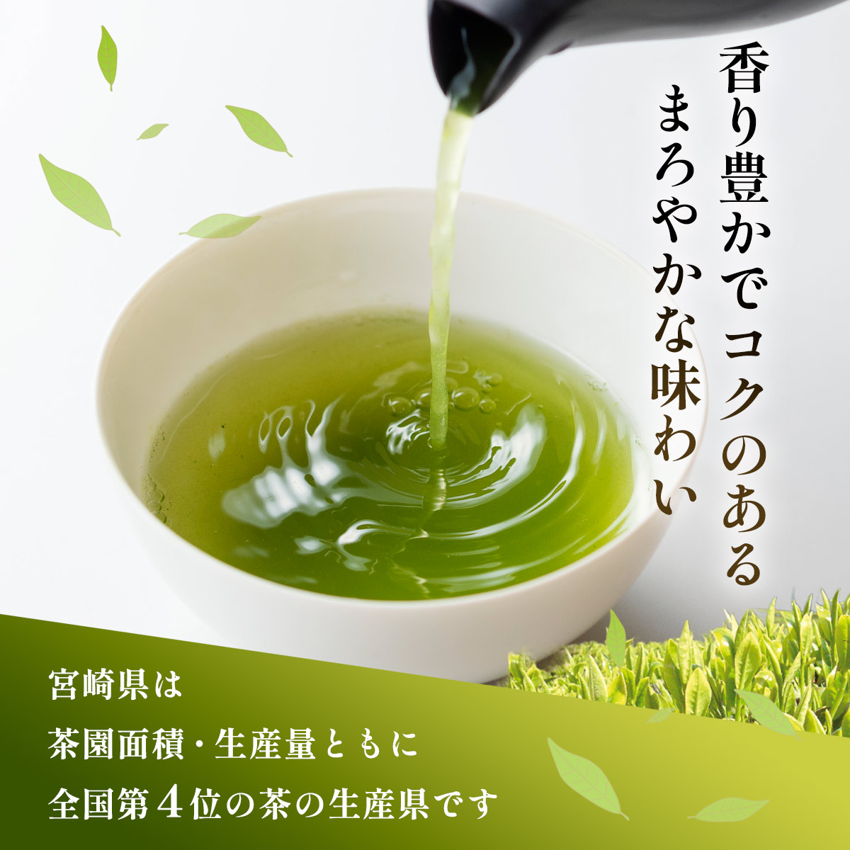 煎茶 山里(100g×5袋)