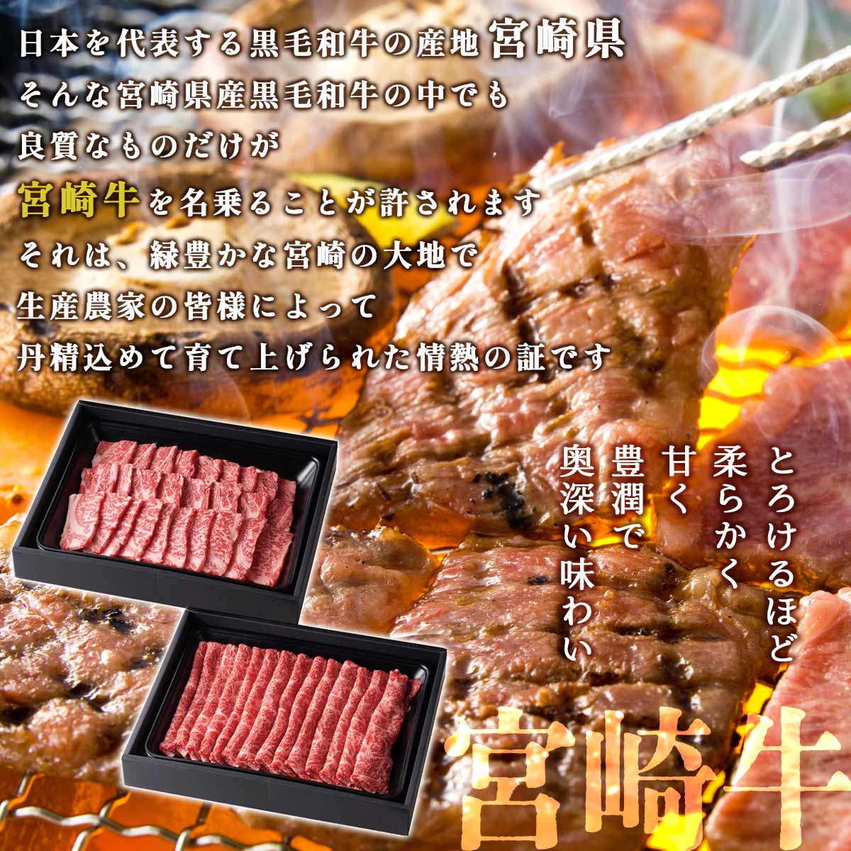宮崎牛 肩ロース焼肉・モモ焼きしゃぶセット 計1.0kg