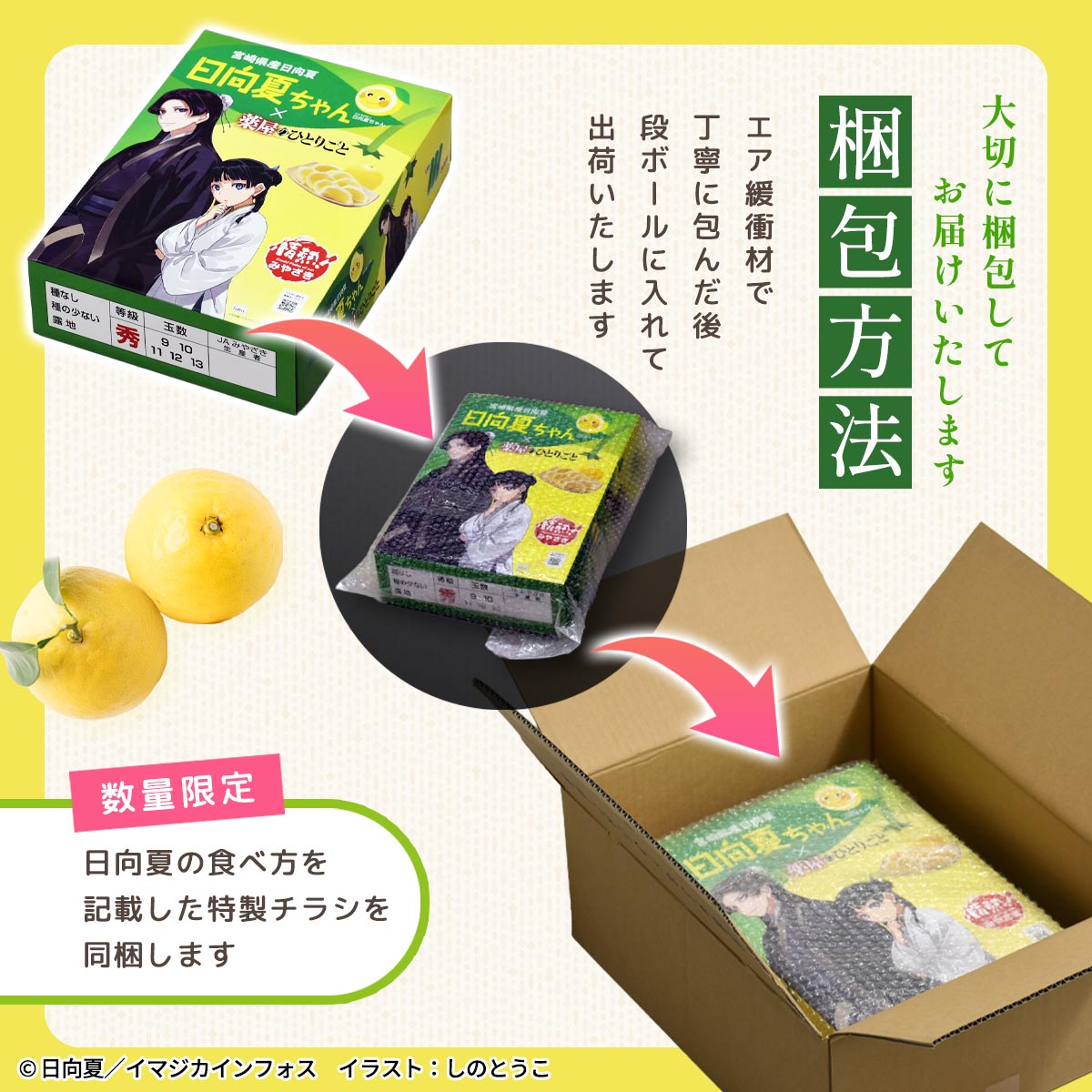 【クール便】宮崎県産 日向夏 小説「薬屋のひとりごと」コラボパッケージ 2.5kg （種ありタイプ）
