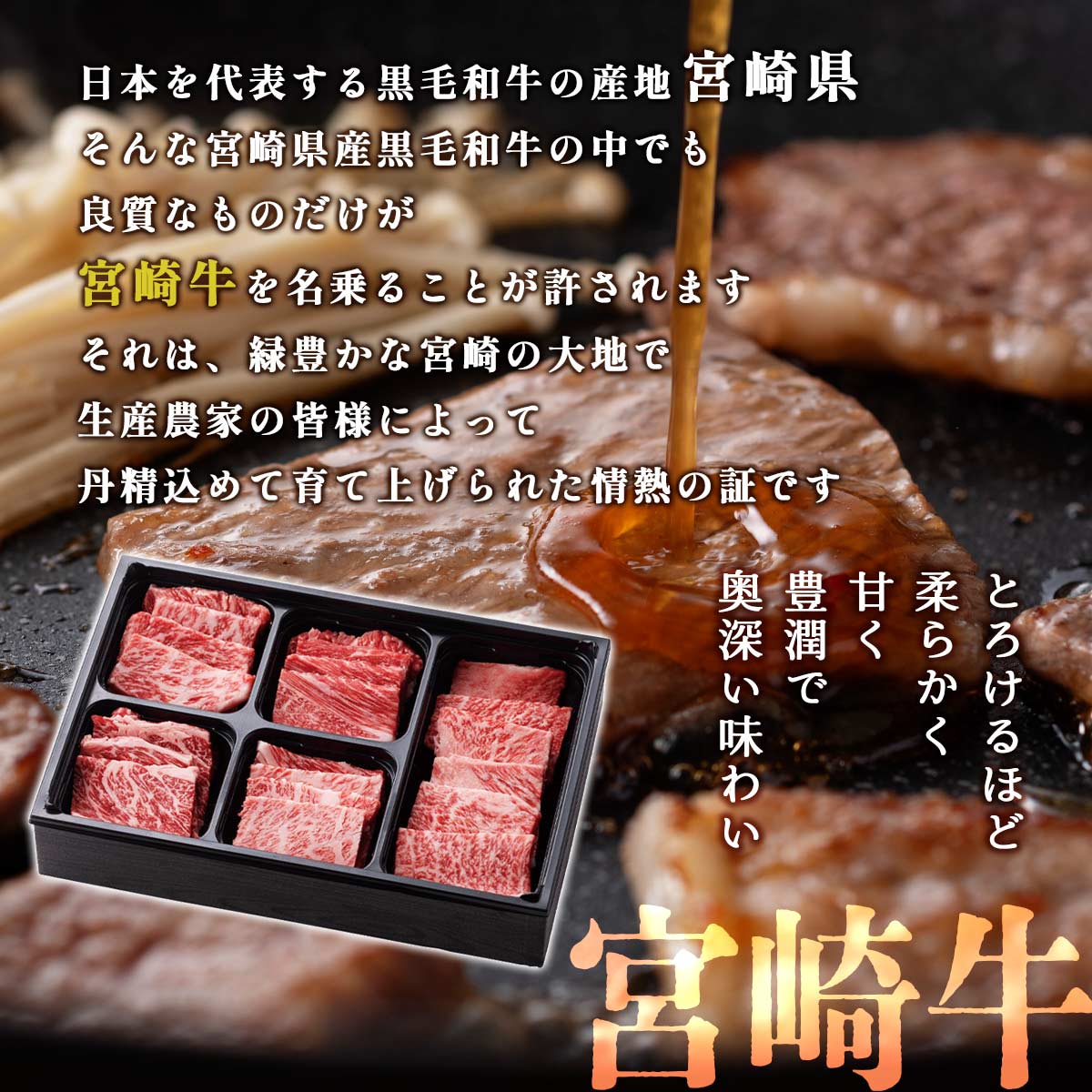 [冷凍の匠] 宮崎牛 5種盛り食べ比べ焼肉