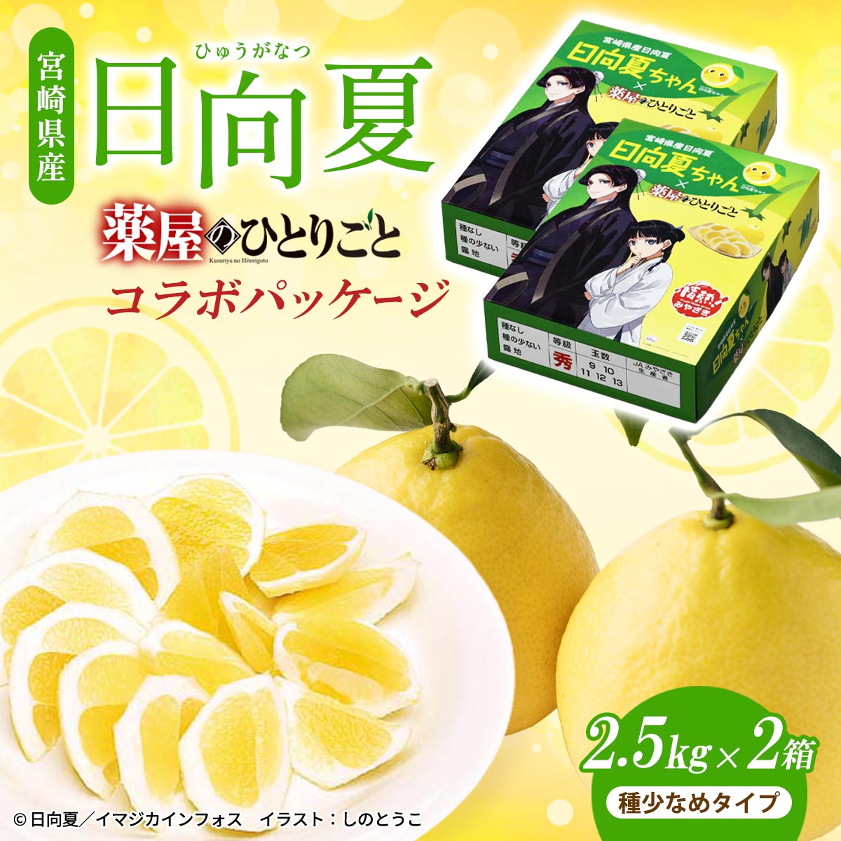 宮崎県産 日向夏 小説「薬屋のひとりごと」コラボパッケージ 2.5㎏×2（種少なめタイプ）