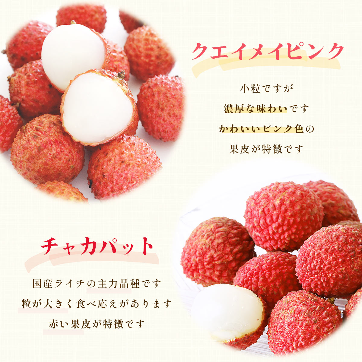 宮崎県綾町産 生ライチ食べ比べセット
