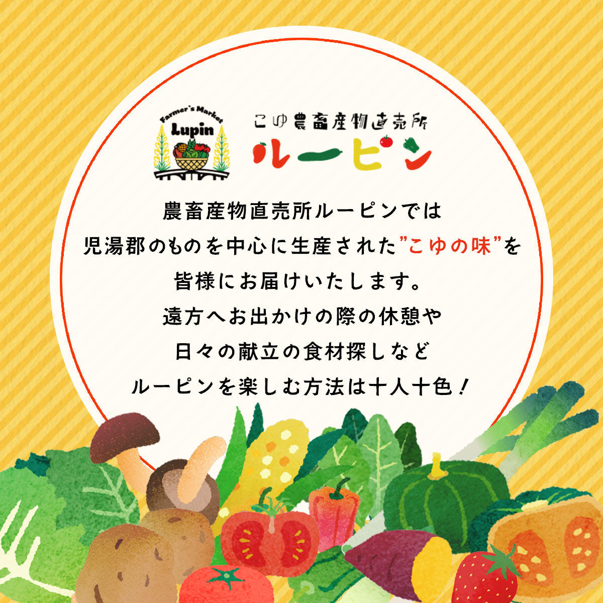 みやざきぎょうざ 食べ比べセット