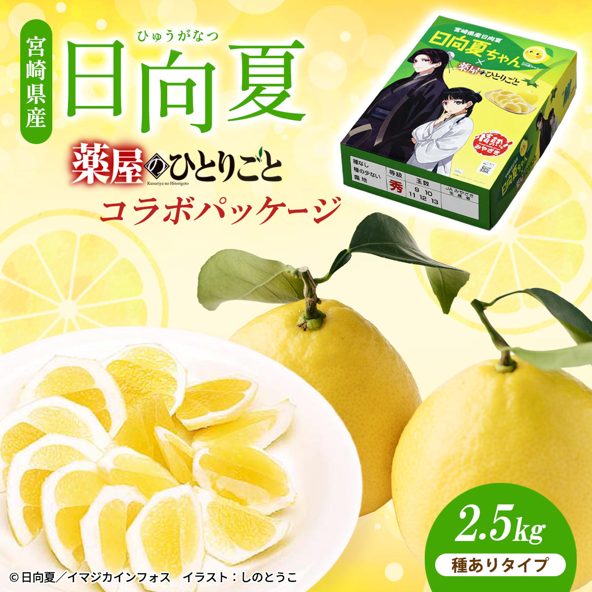 宮崎県産 日向夏 小説「薬屋のひとりごと」コラボパッケージ 2.5kg （種ありタイプ）
