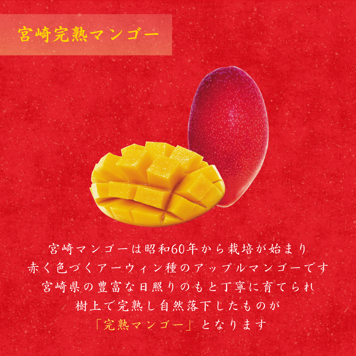 【化粧箱入り】宮崎完熟マンゴードリンク　300ml×1本	