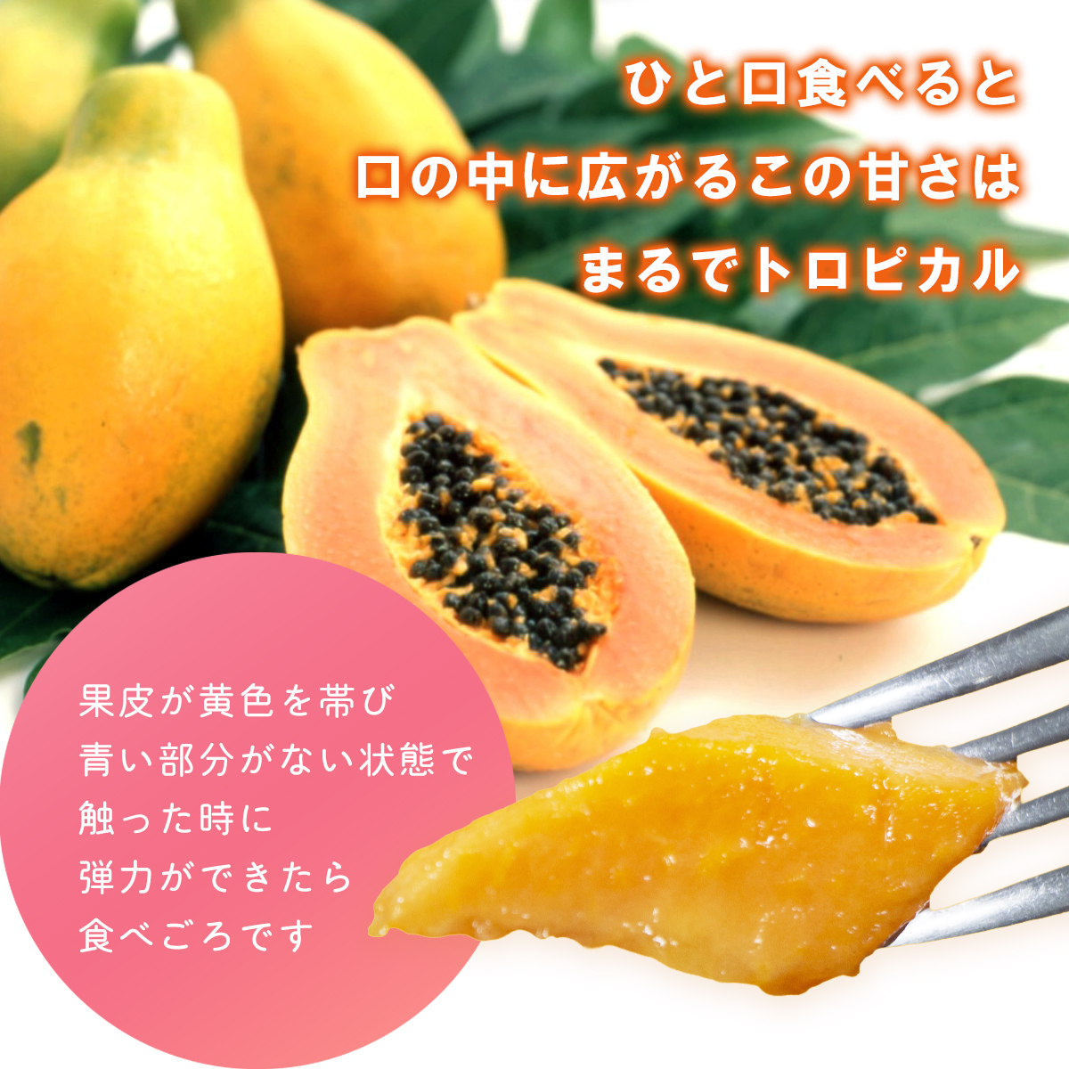 パパイア 2kg（３〜５玉入）