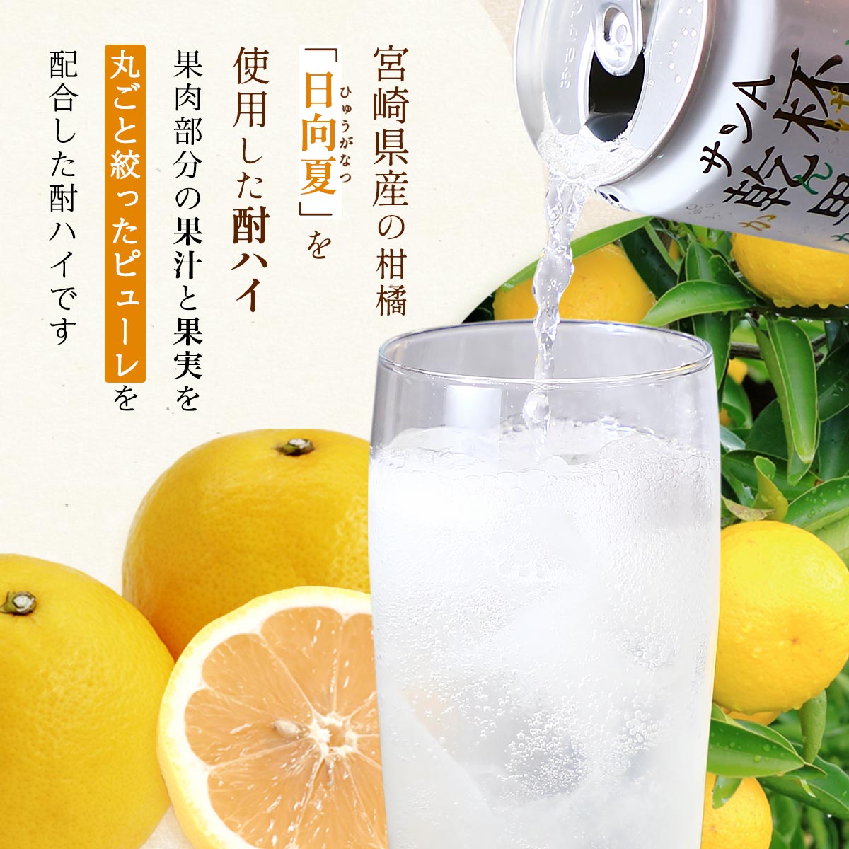 【お酒】乾杯果汁 日向夏酎ハイ 24本入