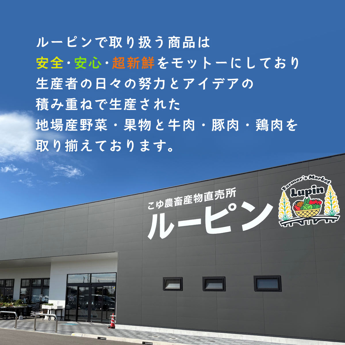 宮崎県産若鶏バラエティセット