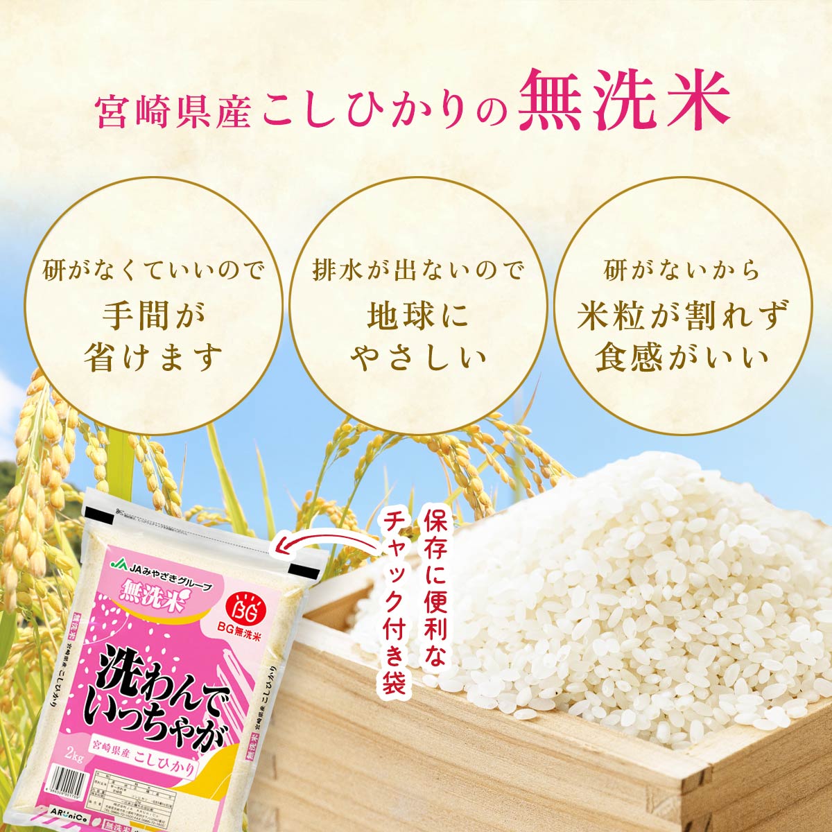 【令和8年産】宮崎県産 無洗米 こしひかり 2kg
