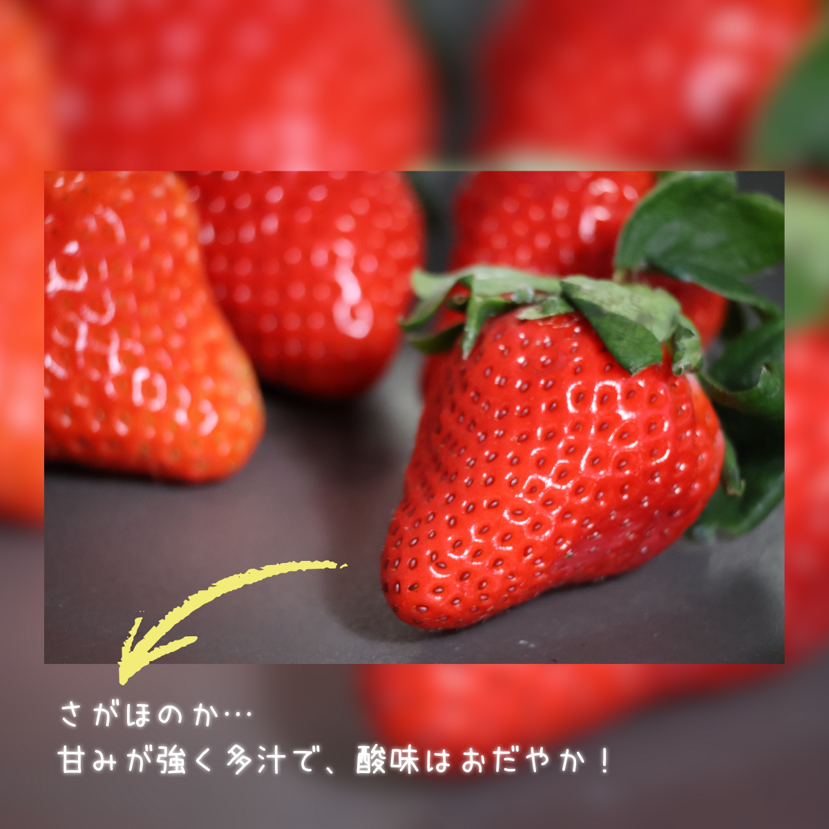 宮崎県尾鈴産 さがほのか 4パック