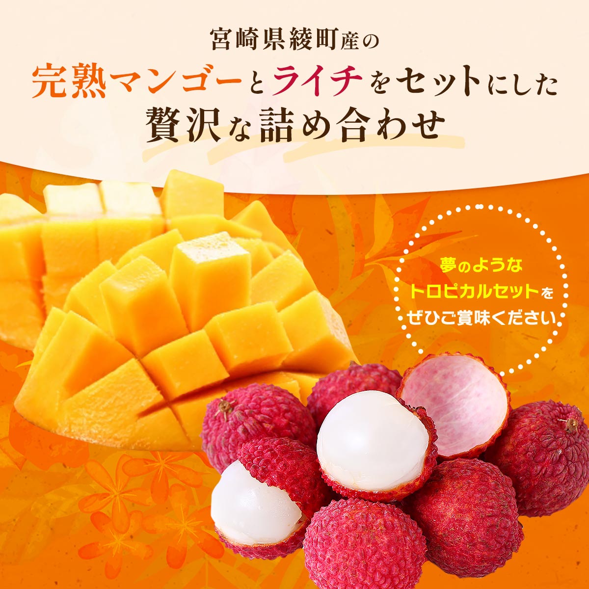 宮崎県綾町産 完熟マンゴー＆生ライチセット