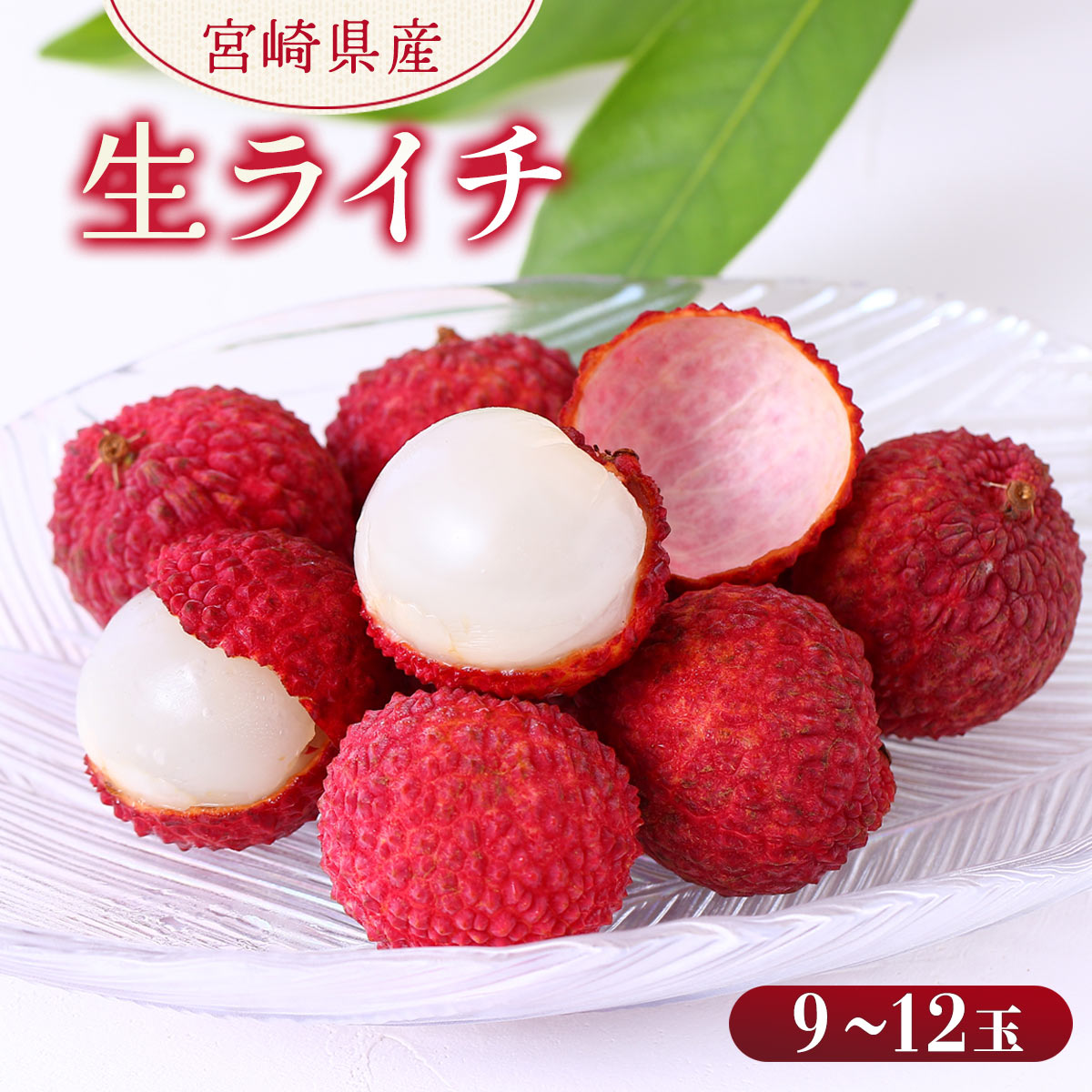 宮崎県産 生ライチ（９～12玉）