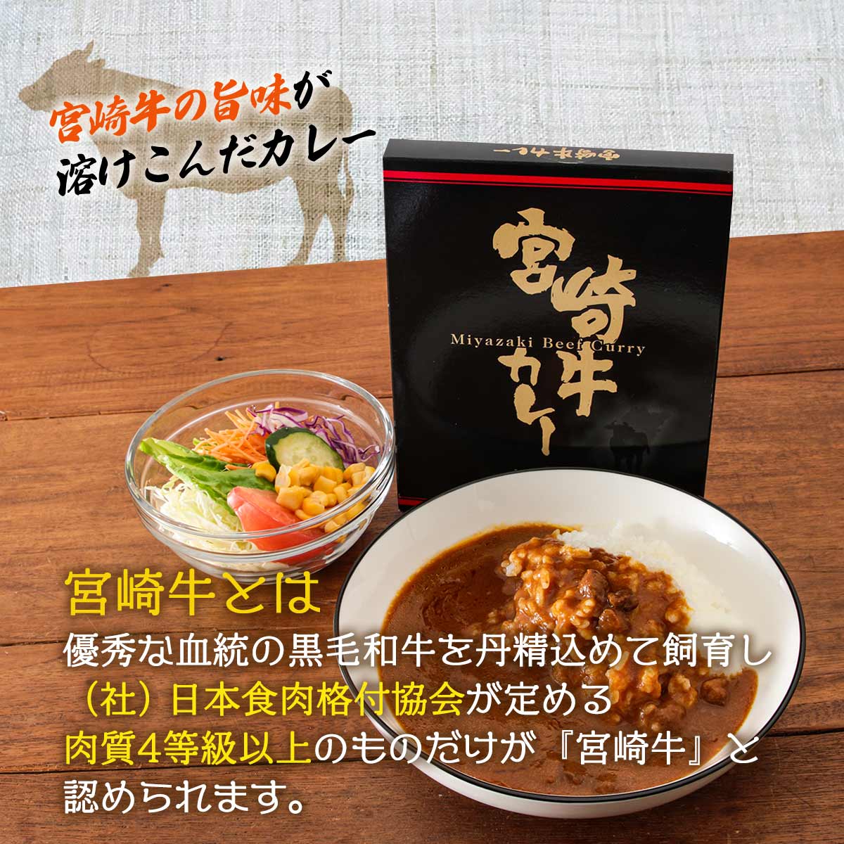 宮崎牛カレー180ｇ×6個セット