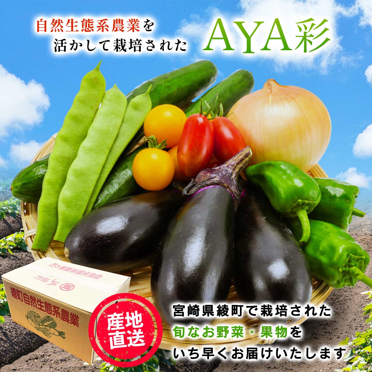 AYA彩10品（野菜・果物詰め合わせ定期便）【全３回】