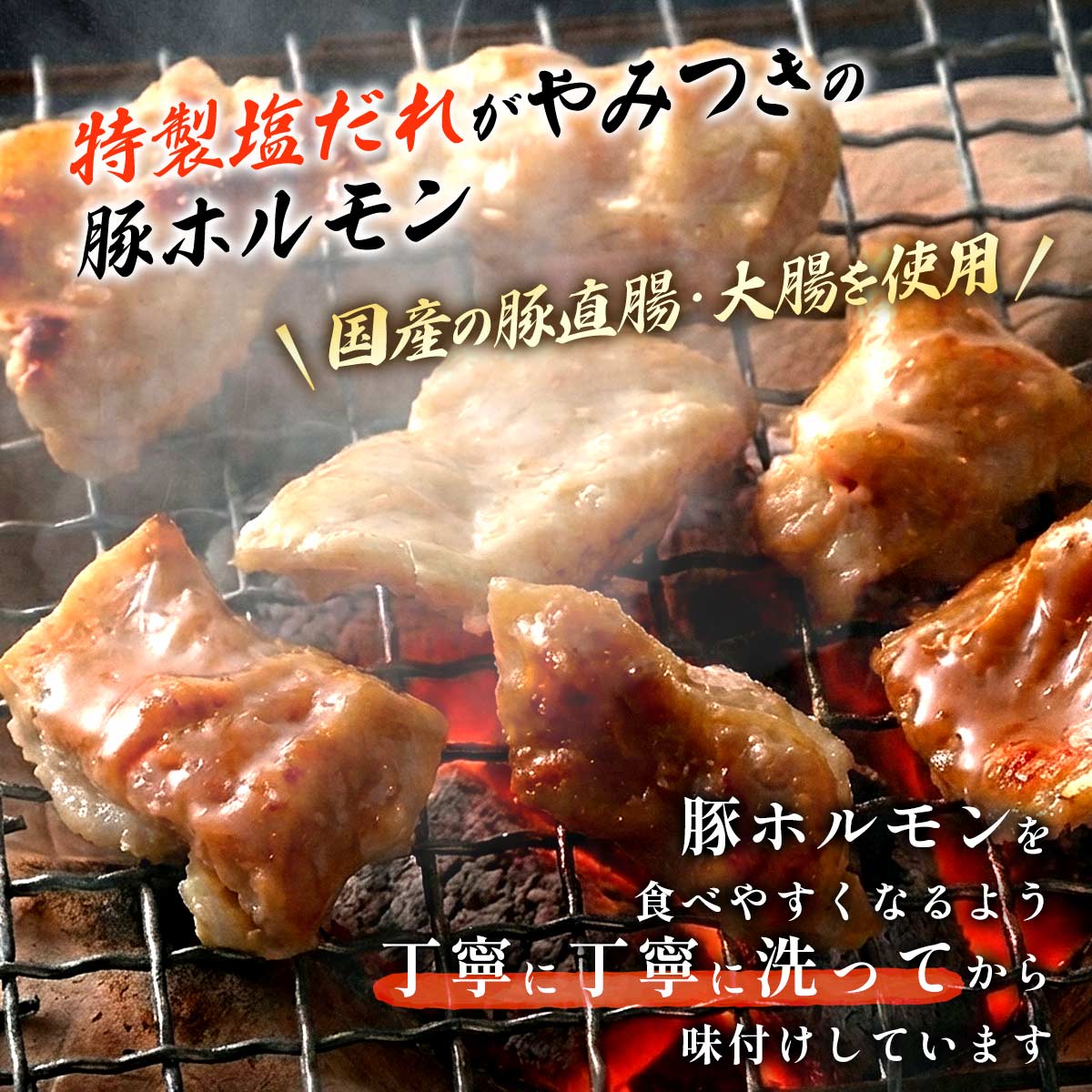 エーコープみやざき やみつき大束塩ホルモン