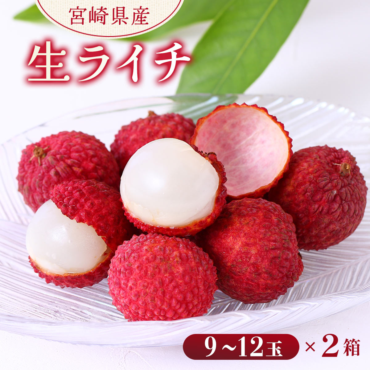 宮崎県綾町産 生ライチ（９～12玉）×2箱