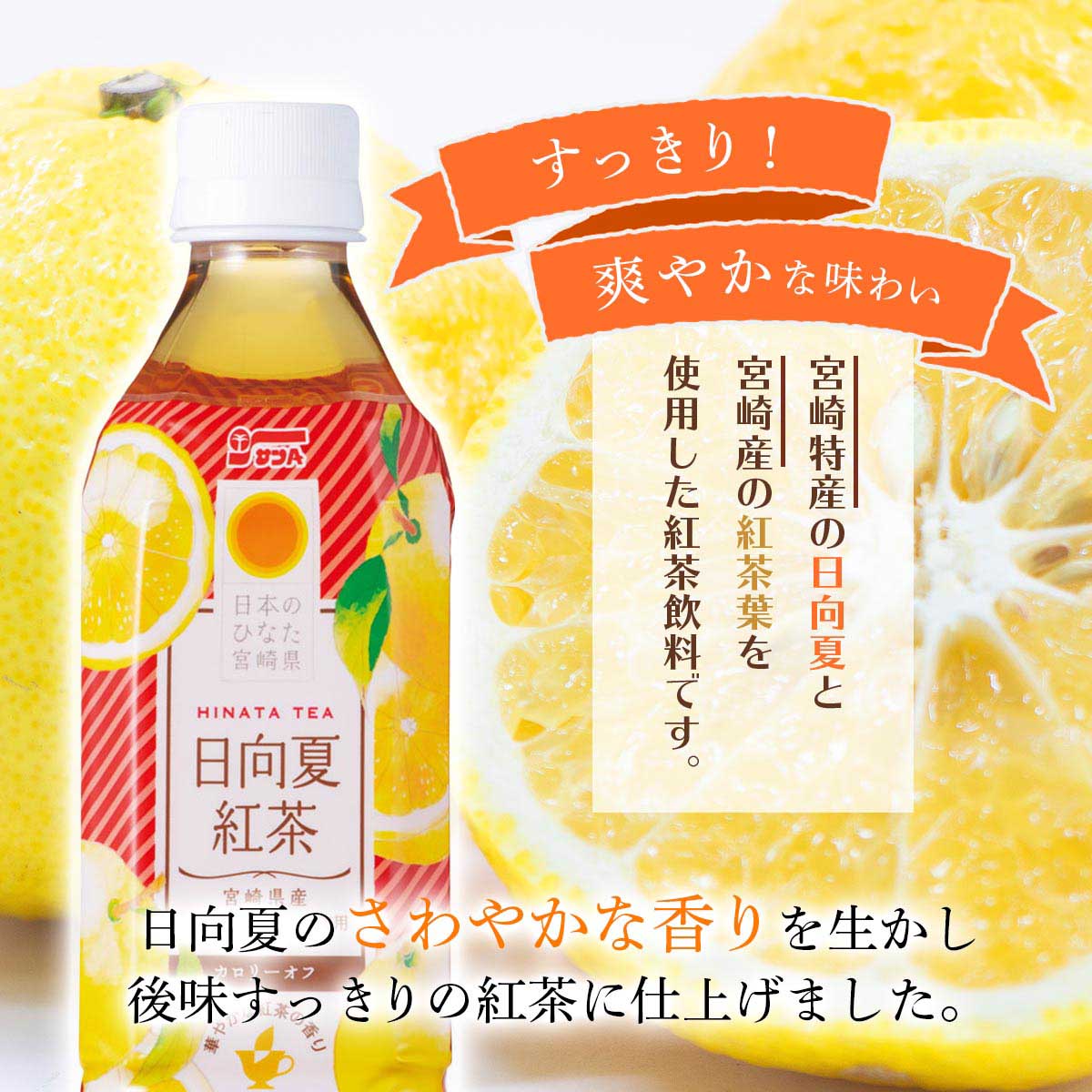 サンA 日向夏紅茶HINATA TEA