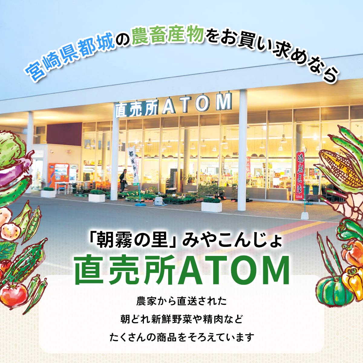 宮崎牛 贅沢盛り 焼肉用 1kg