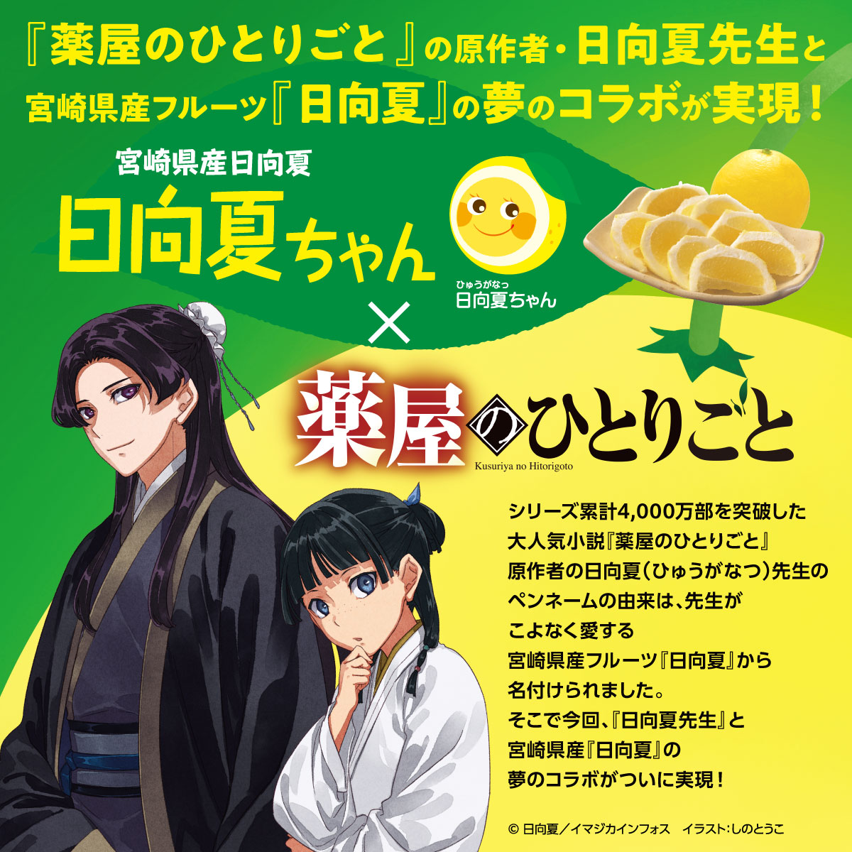 【クール便】宮崎県産 日向夏 小説「薬屋のひとりごと」コラボパッケージ 2.5㎏×2（種少なめタイプ）